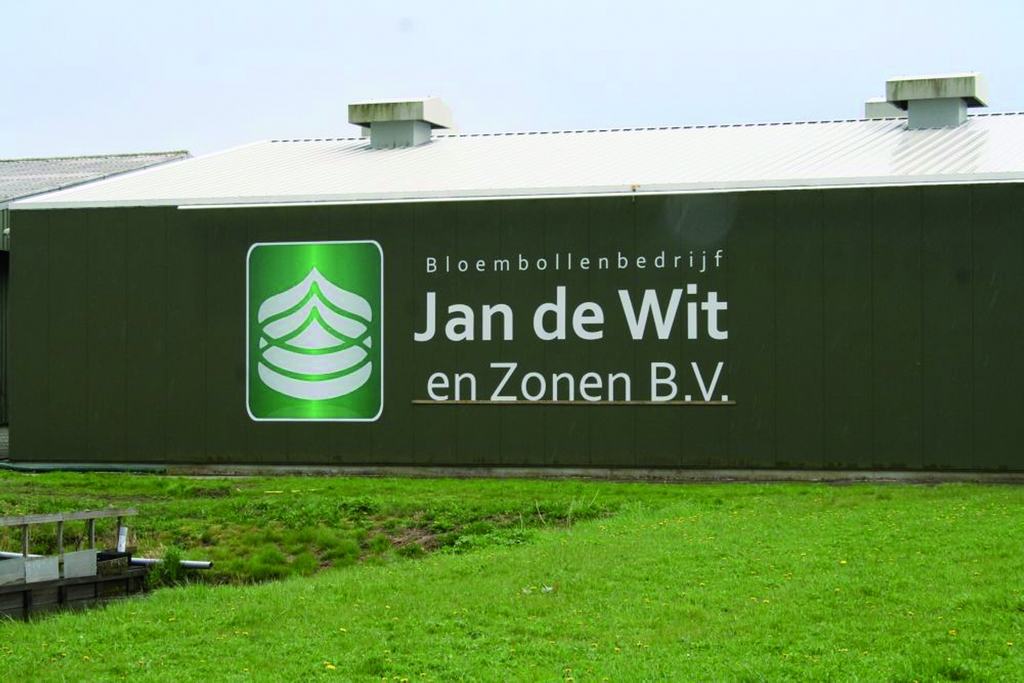 Hồ sơ công ty cung cấp củ giống hoa ly ở Hà Lan (P4)